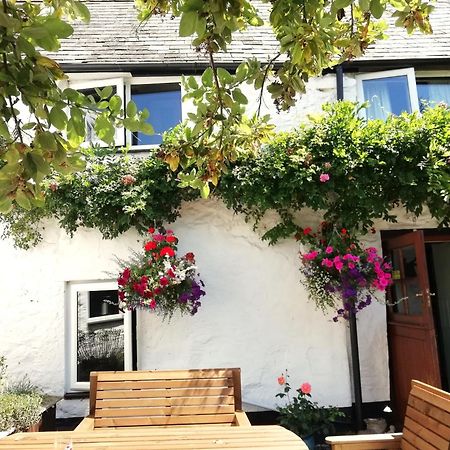 Steps Farmhouse B&B Майнхед Екстериор снимка